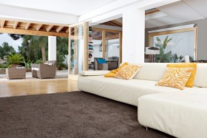 living room - carpet