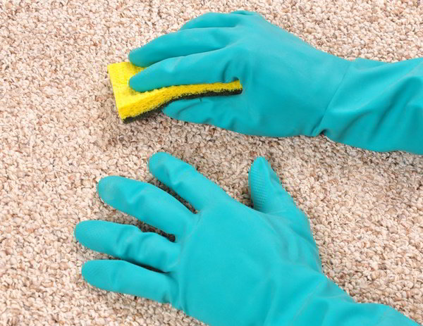 Carpet Cleaning & Maintenance Made Simple